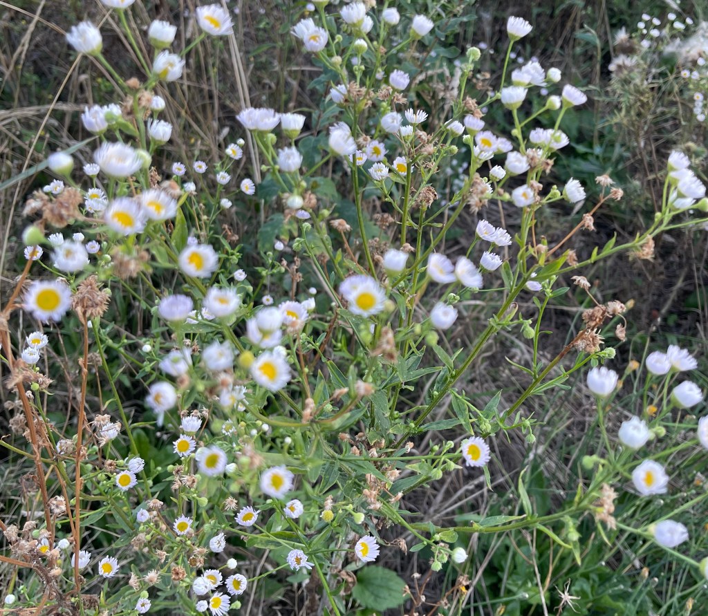 Not everyone likes&nbsp;me?