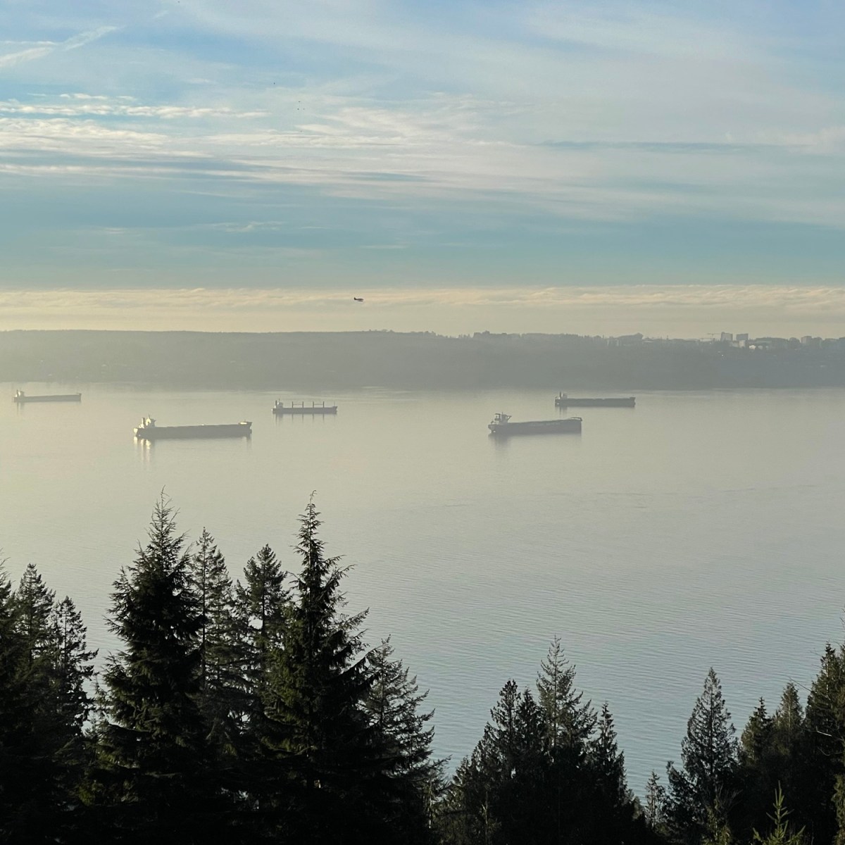 A mini story about Frank and his&nbsp;dog