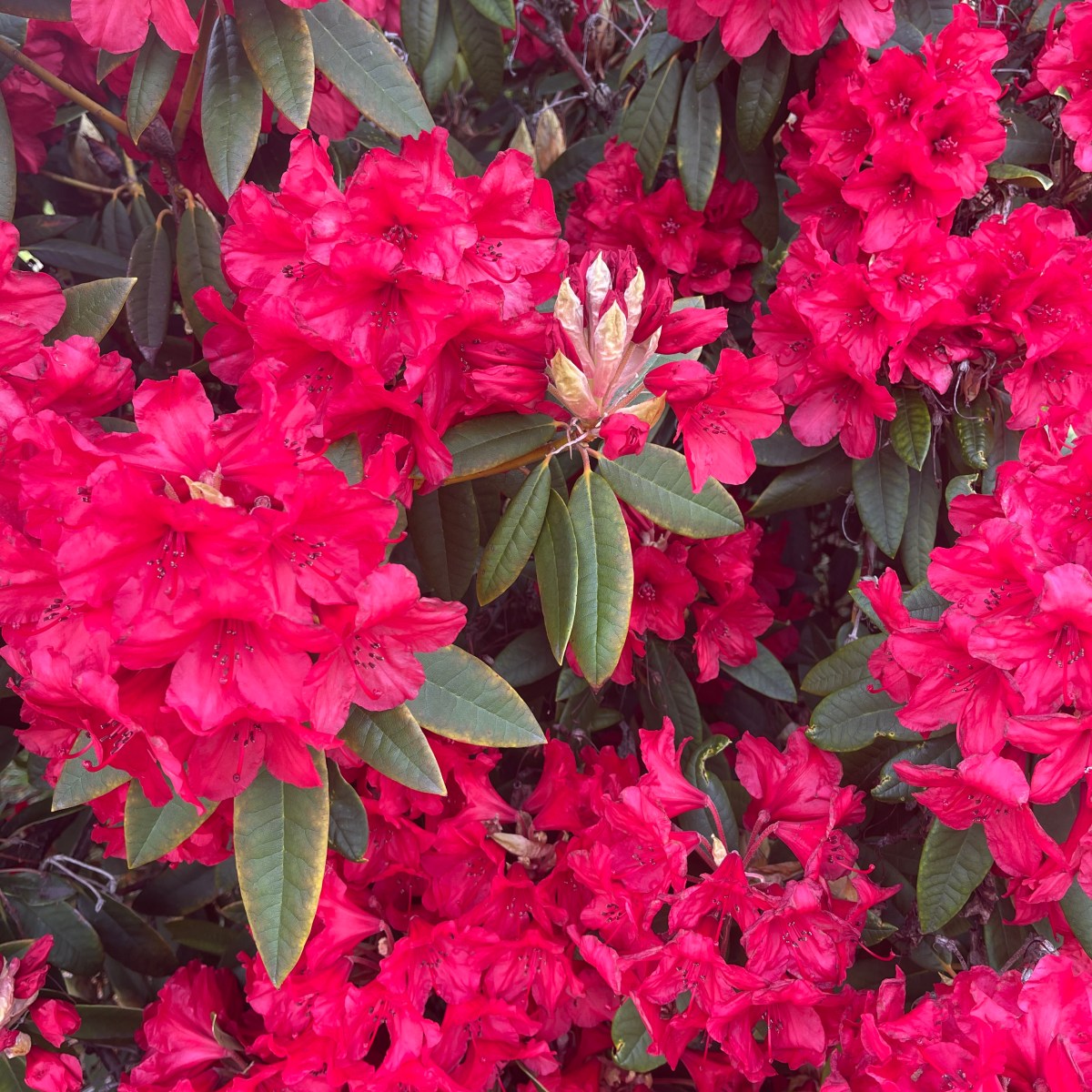 Life is a test and I’m still making&nbsp;mistakes