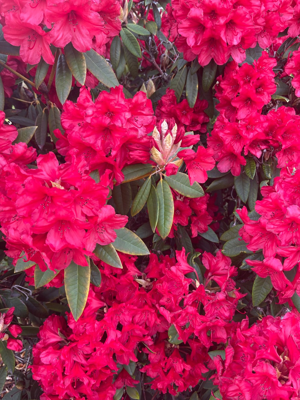 Life is a test and I’m still making&nbsp;mistakes