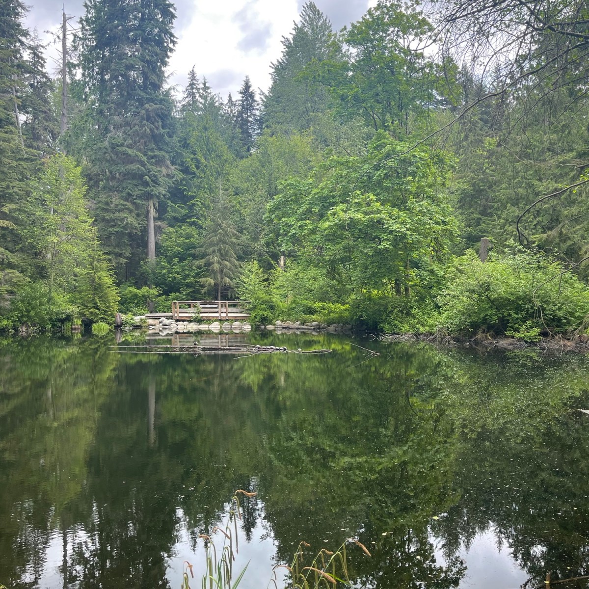 AI is making me question my&nbsp;life