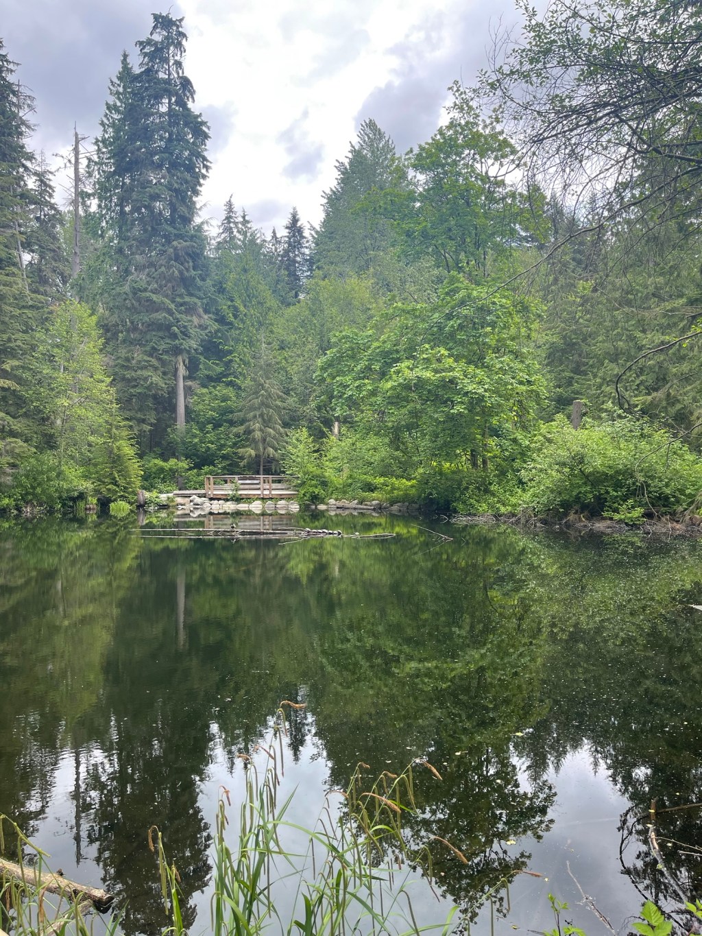 AI is making me question my&nbsp;life