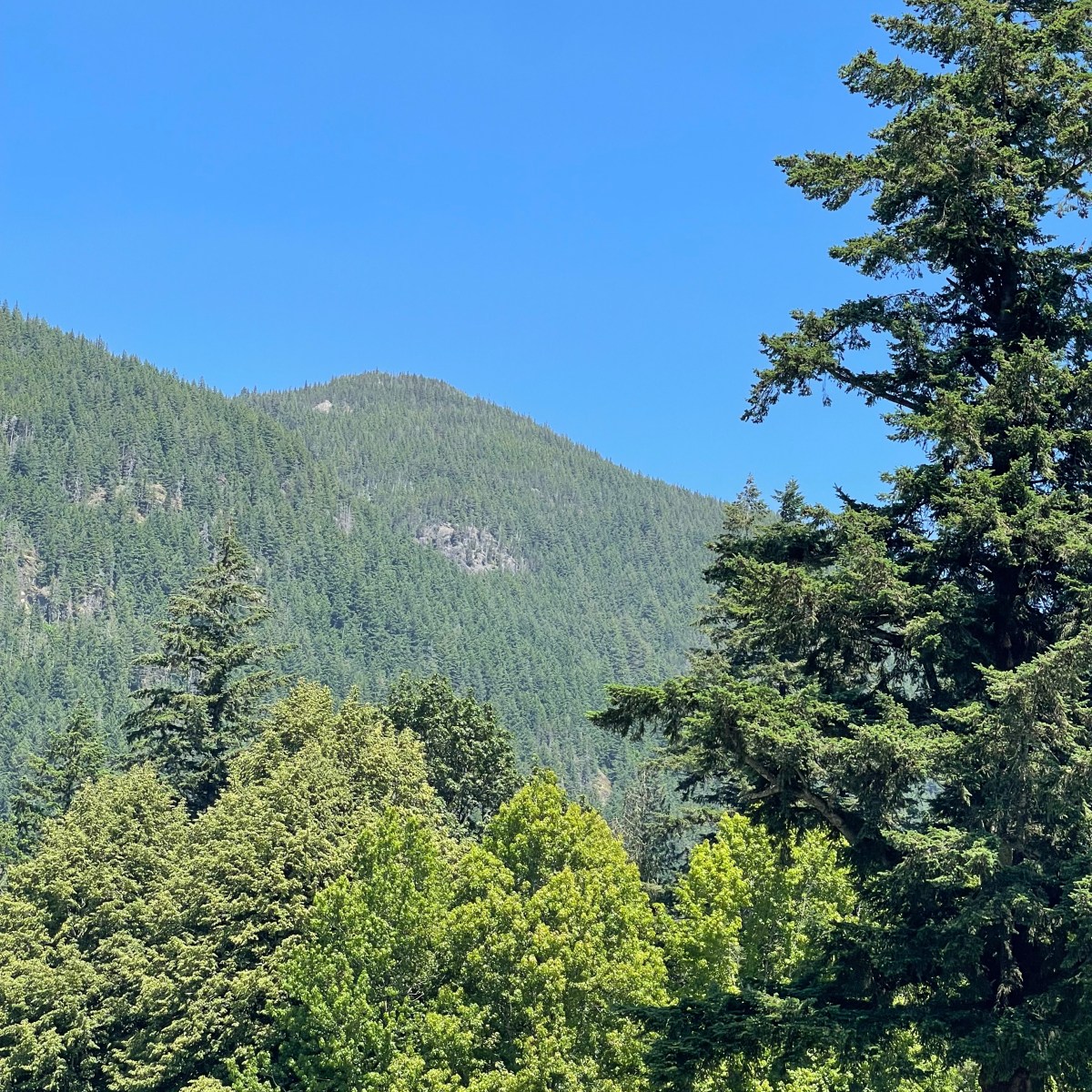 Is it clarity or is it&nbsp;closure?