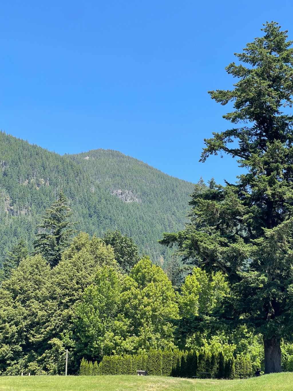 Is it clarity or is it&nbsp;closure?