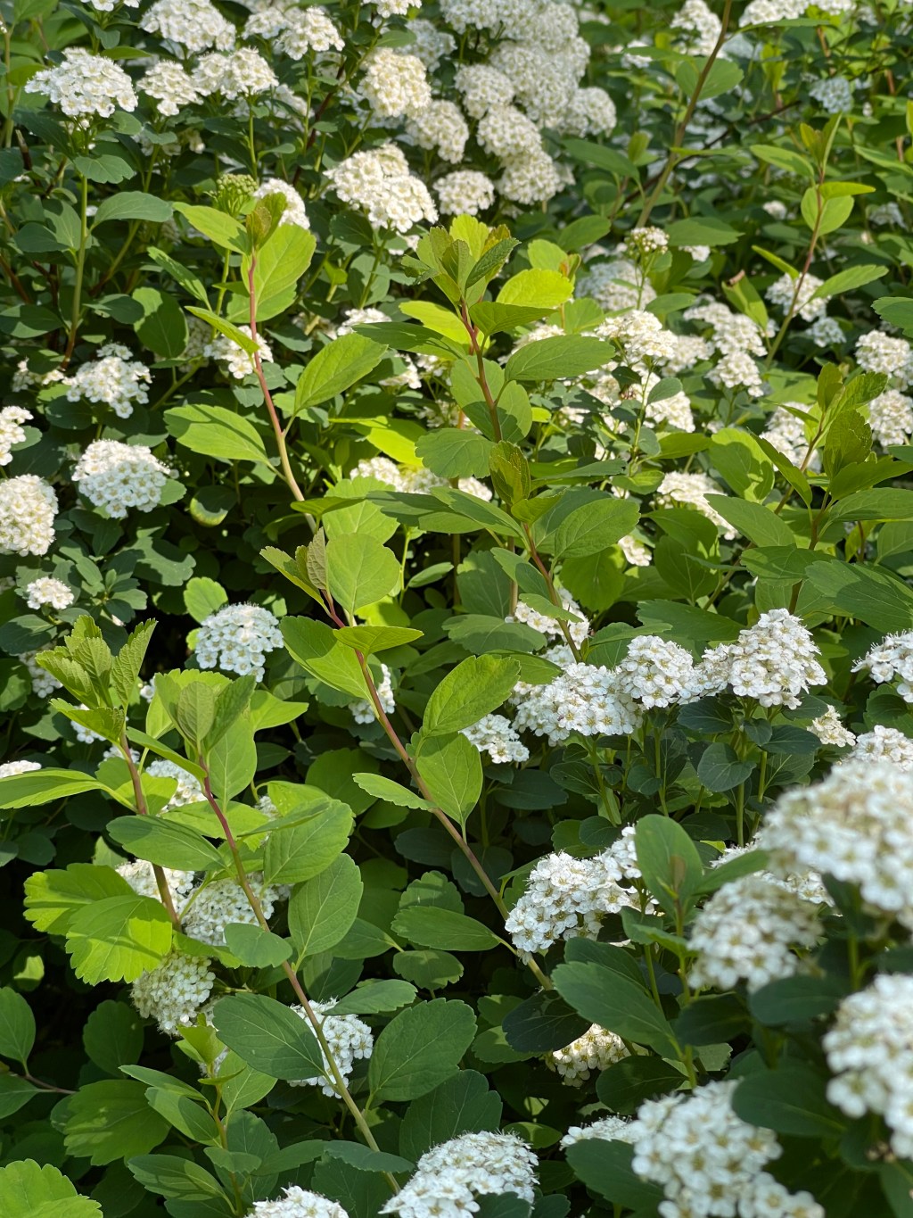 Patience is making a&nbsp;comeback